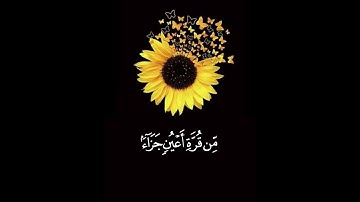 القارئ محمدعبدالقوى سورة السجدة حالات واتس اب قرآن تلاوة خاشعة جميلة جدا 😌❤ بصوت يريح القلب