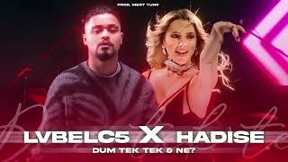 Lvbelc5 & Hadise Ne & Dum Tek Tek Prod