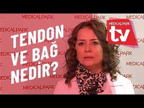 Tendon ve Bağ Nedir   Medical Park   TV