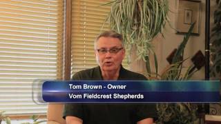 10 Key Elements for choosing a Personal Protection Dog Company