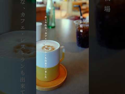 【油山牧場】リニューアル後の油山牧場(もーもーらんど)へ行ってきました🐄🌿▶︎YouTubeに4k撮影のvlog載せてます！のぞいてみてね🎞️#福岡#福岡おすすめスポット#福岡お出かけ