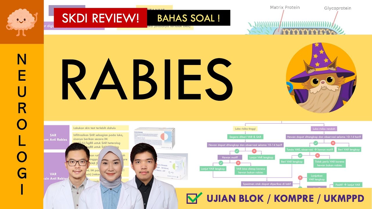 [UKMPPD - SKDI REVIEW] Rabies - Dosis VAR dan SAR? | Sistem Saraf #26 ...