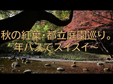 [#236] 秋の庭園・紅葉巡り。年パス利用ですいすい～