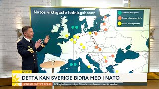 Sveriges bidrag till Nato: ”Geostrategiskt viktig plats” | Nyhetsmorgon | TV4 &amp; TV4 Play