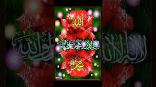 ytshorts shortvedios muhammadﷺ 