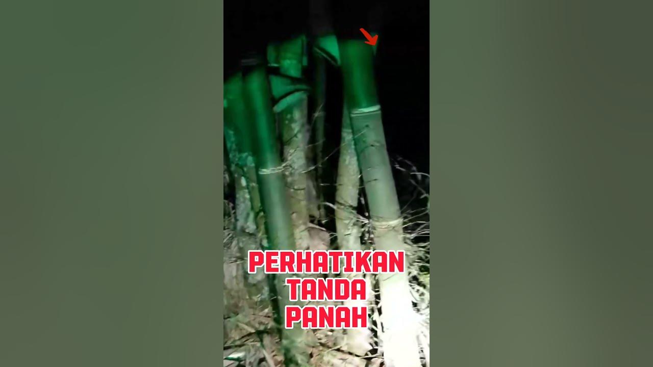 waw banget #shorts #shortvideo #fyp - YouTube