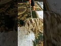 asmr foam scraping #asmr #satisfying #shorts