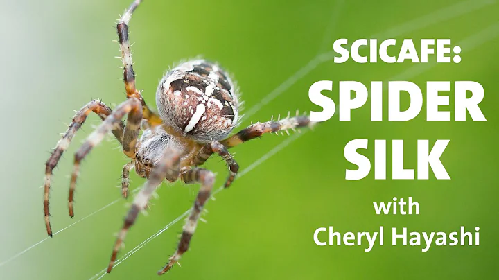 Spider Silk with Cheryl Hayashi  AMNH SciCafe