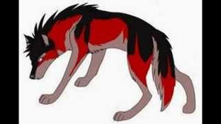 My Beastly Wolf Slideshow