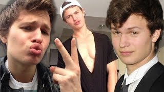 7 Times Ansel Elgort Made the Internet SWOON