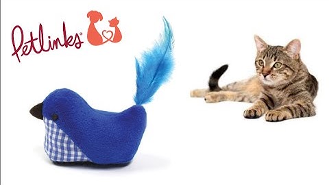 Petlinks Roaming Runner from Worldwise Inc.