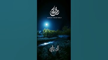وَأَنفِقُوا مِن مَّا رَزَقْنَاكُم.         سورة المنافقون الاية (10)