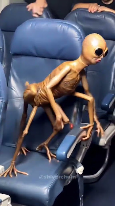 _7470407701269351702