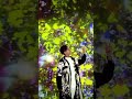 all at once「星合」#shorts #名探偵コナン #星合