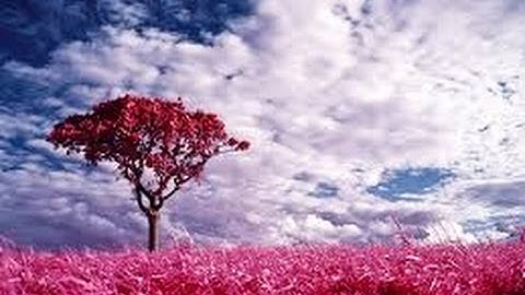 تلاوة خاشعة من سورة الزمر للقارئ جاسم الظفيري