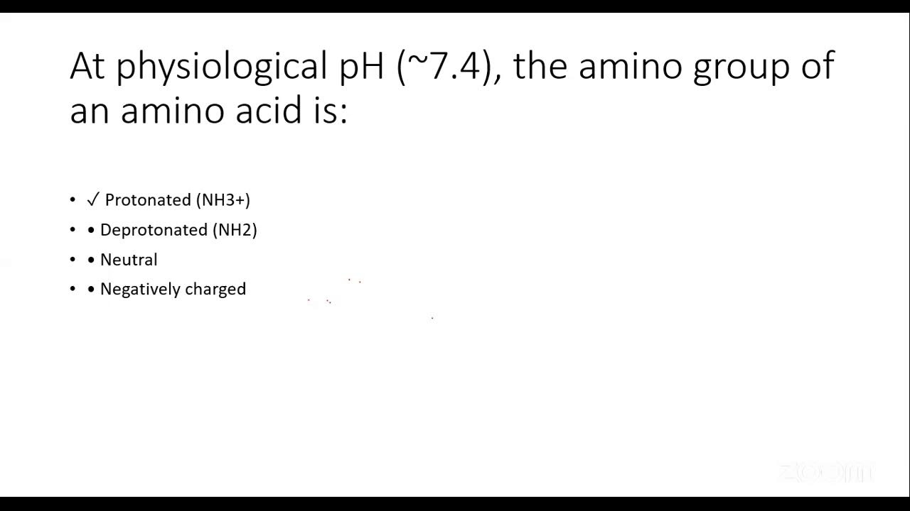Raymond's Zoom Meeting