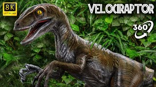 Vr Jurassic Encyclopedia - Velociraptor Dinosaur Facts 360 Education
