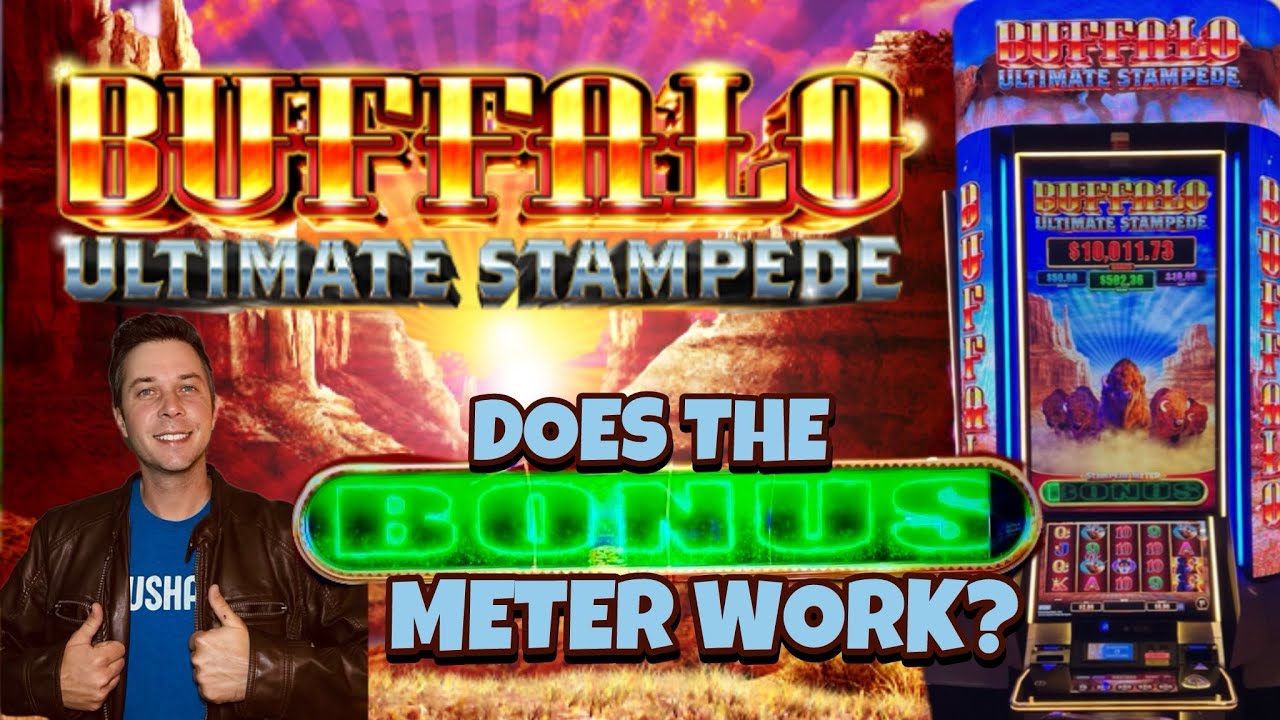 Does the Bonus Meter actually work? #buffalo #slots #casino - YouTube