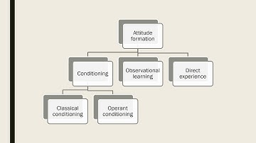 Factors influencing attitude formation