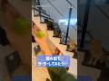 ヨーヨーに夢中な猫