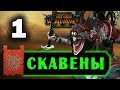 Скавены прохождение Total War Warhammer 2 за Квика - #1