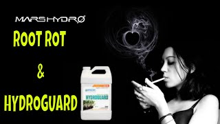 Root Rot & Hydro Guard Growing With Kush Santa