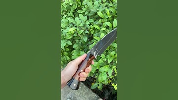 Vòng bi lưng cong đi câu là chuẩn ạ | Dao phúc sen