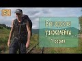 ⛺ Выгодская узкоколейка #1. Карпатский трамвай. Большой поход по УЖД!