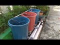 Diy  how to build simple ras system for catfish ponds using bucket  aquaponic system part 1