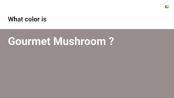 Gourmet Mushroom color #968d8c hex color - Grey color - Cool color 968d8c