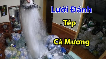Lưới Đánh Tép,Cá Mương Cao 70cm dài 60m mắt 0.7cm giá 280k miễn ship