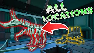 I Found all 64 Bone Locations So You Don't Have To!