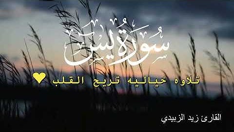تلاوة رائعة وهادئة لسورة يس بصوت القارئ زيد الزبيدي