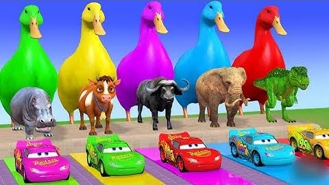 Don't Choose The Wrong Key With Elephant Cow Lion Gorilla Escape Room Challenge Animals Cage Game