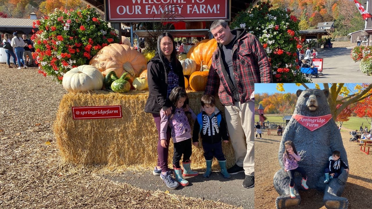 Spring Ridge Farm Fall FALL FUN AT SPRINGRIDGE FARM/MY CANA-PINO FAMILY. - YouTube