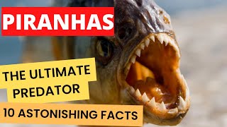 Piranhas: The Ultimate Predator - 10 Astonishing Facts