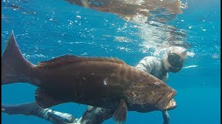 Spearfishing the Caribbean: Trinidad and Tobago 2018