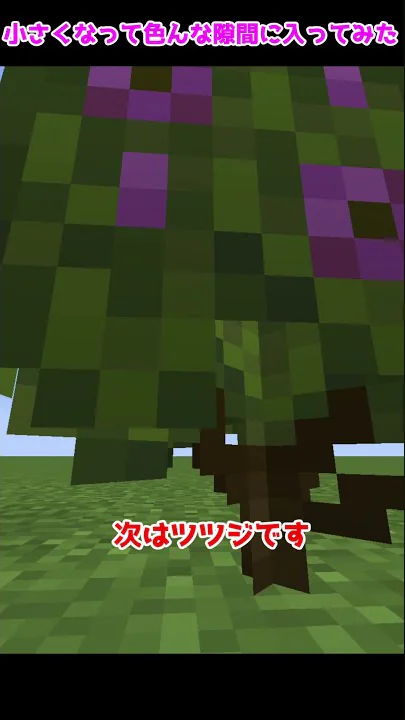 マイクラコマンド小さくなるスイッチたいよう
