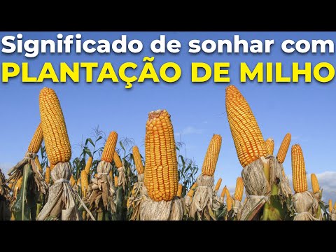 Vídeo: Quem significa milho?