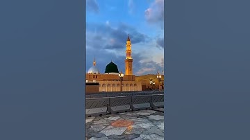 #قران#سورة_الفيل #quran #أذكار #اسلاميات #دعاء #قصص #صباحيات #مسائيات #اكسبلور_explor #صلي_على_النبي