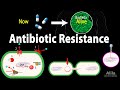 Battling Bacterial Resistance The Evolution of Antibiotic Resistance