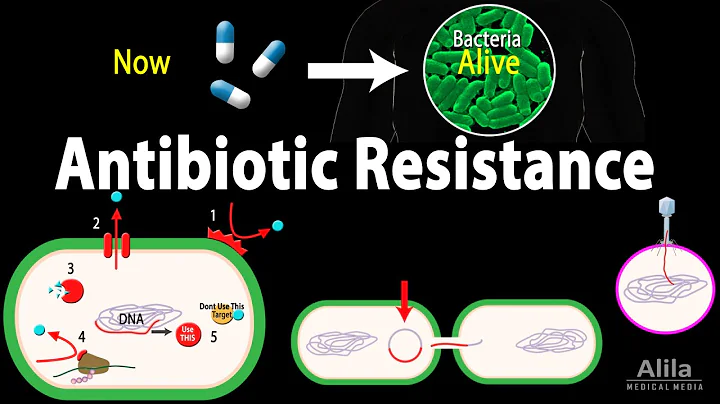 Antibiotic Resistance, Animation - DayDayNews