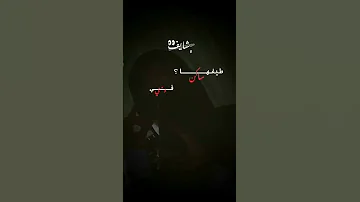 انا تمنيت لو يوم ما حبيت 