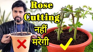 3 methods to grow ROSE from cuttings, गुलाब कि कटिंग उगाने के 3 तरीके by The One Page 505,130 views 5 months ago 13 minutes, 46 seconds