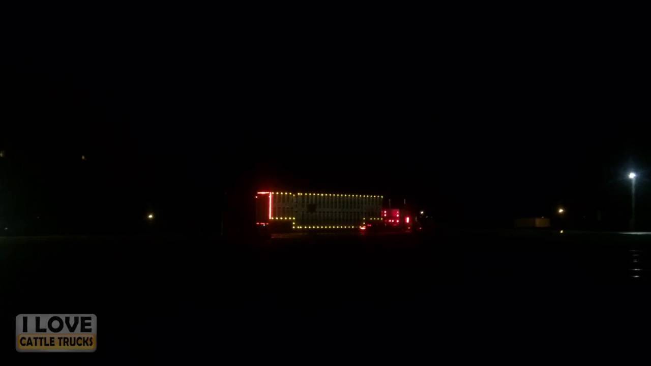 Lots of "chicken" lights - YouTube