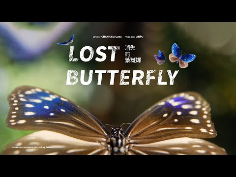 Lost Butterfly｜Full Documentary｜2023｜TaiwanPlus Originals