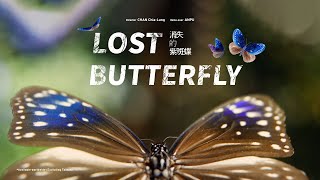 Lost Butterfly｜Full Documentary｜2023｜TaiwanPlus Originals