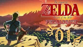 The Legend of Zelda: Breath of the Wild Permadeath w/ BruceN Part 1 - False Start