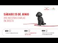 Charlas Royal Canin en DIRECTO – World Dog Show 2022 - Consejos de educación canina