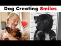When Dogs Did Things And Melted Everyone&#39;s Hearts 🐶 ▶ 04